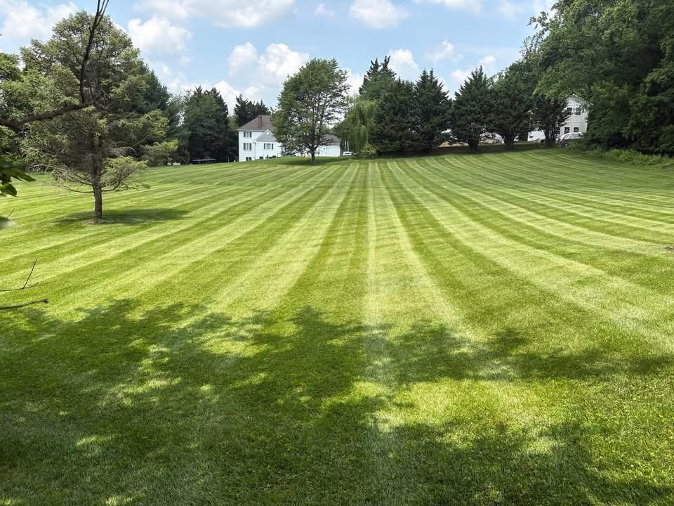 All Photos for Walsh Lawn And Landscape in Olney, MD
