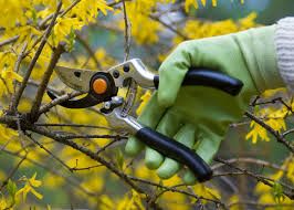Lawn Care for Phillips Lawn Services in Ravenna, MI