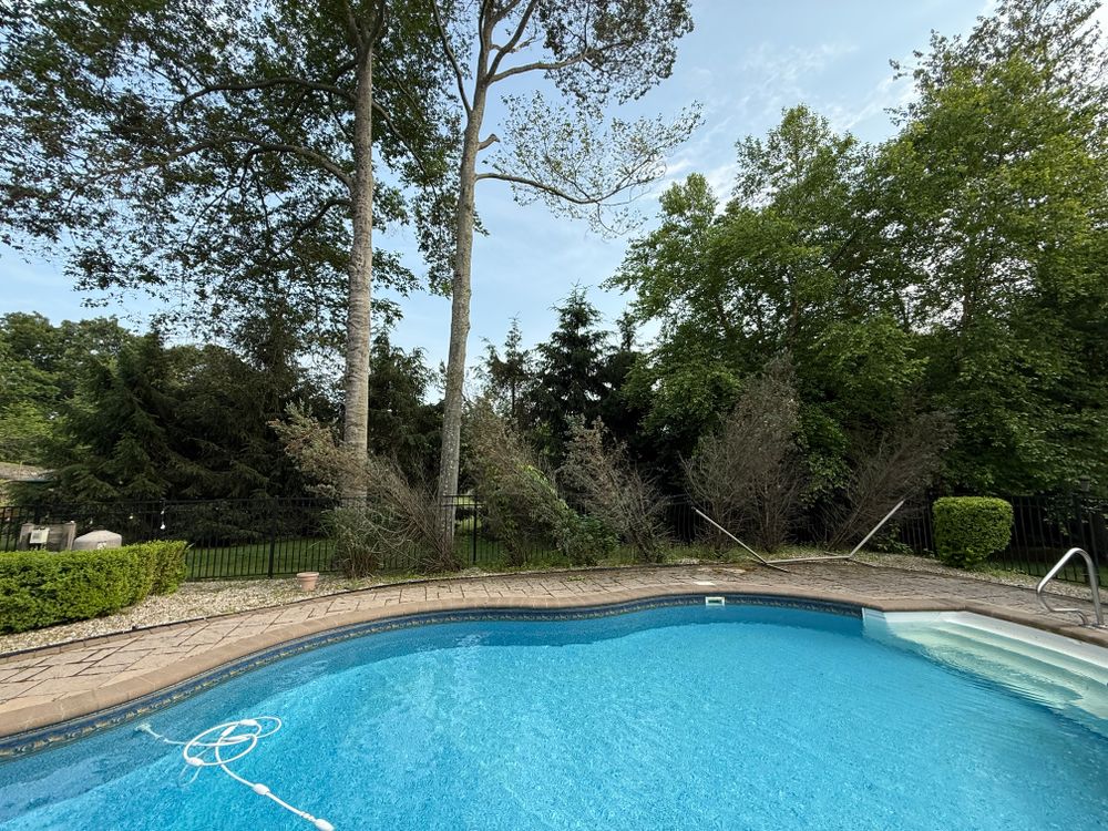 Before & After for Ardisi Landscaping & Design in Poughkeepsie, NY 