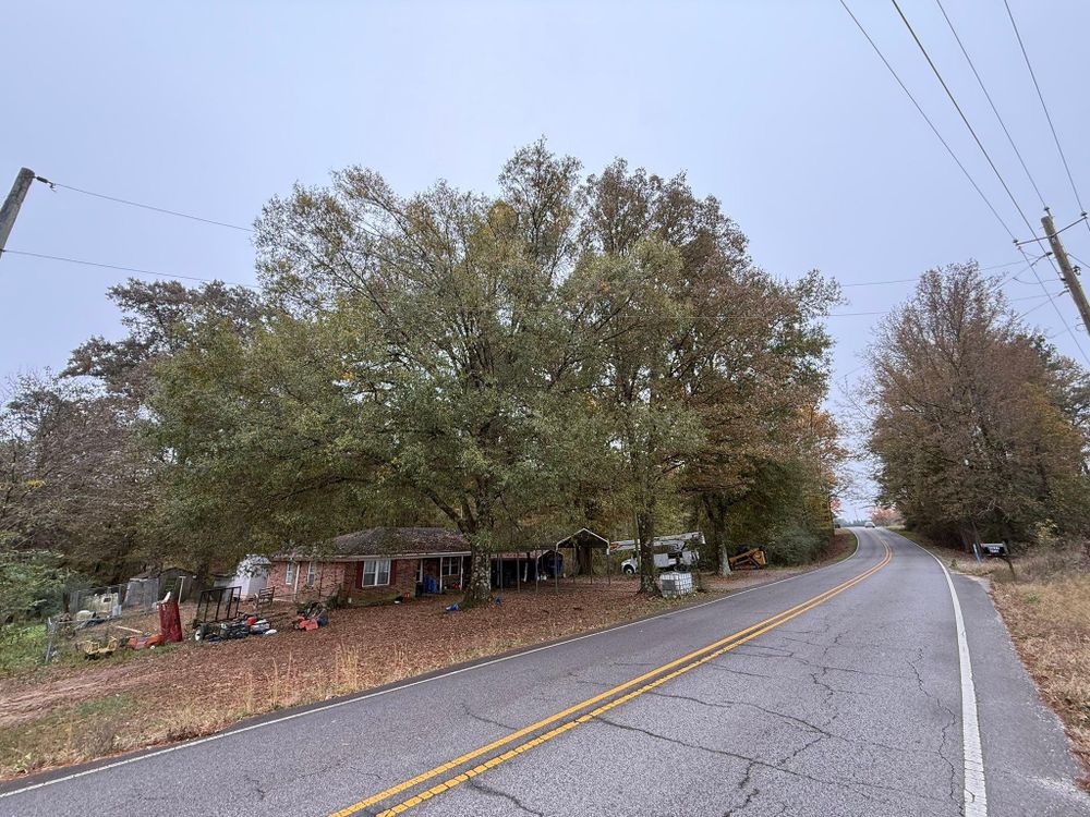 All Photos for Mud Creek Vegetation Management in Russellville, AL