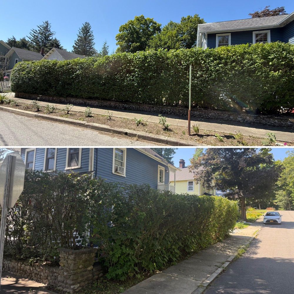 All Photos for LJ Lawn & Property Maintenance, Inc. in Cold Spring, New York