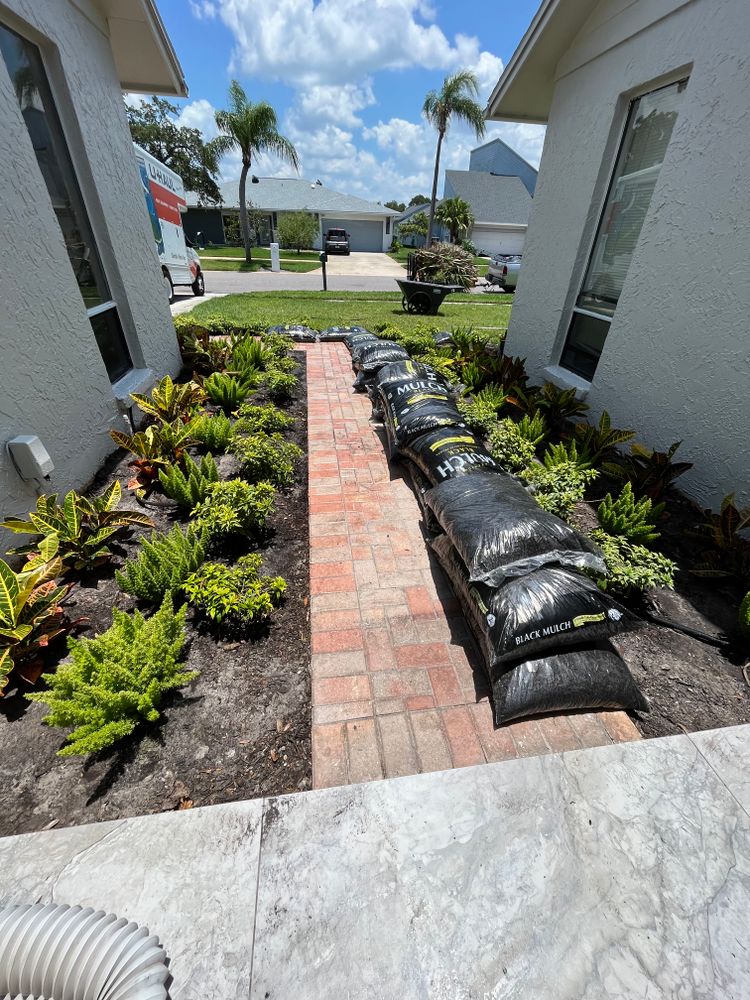 All Photos for Verimay's Garden and Landscaping in Hillsborough County, FL