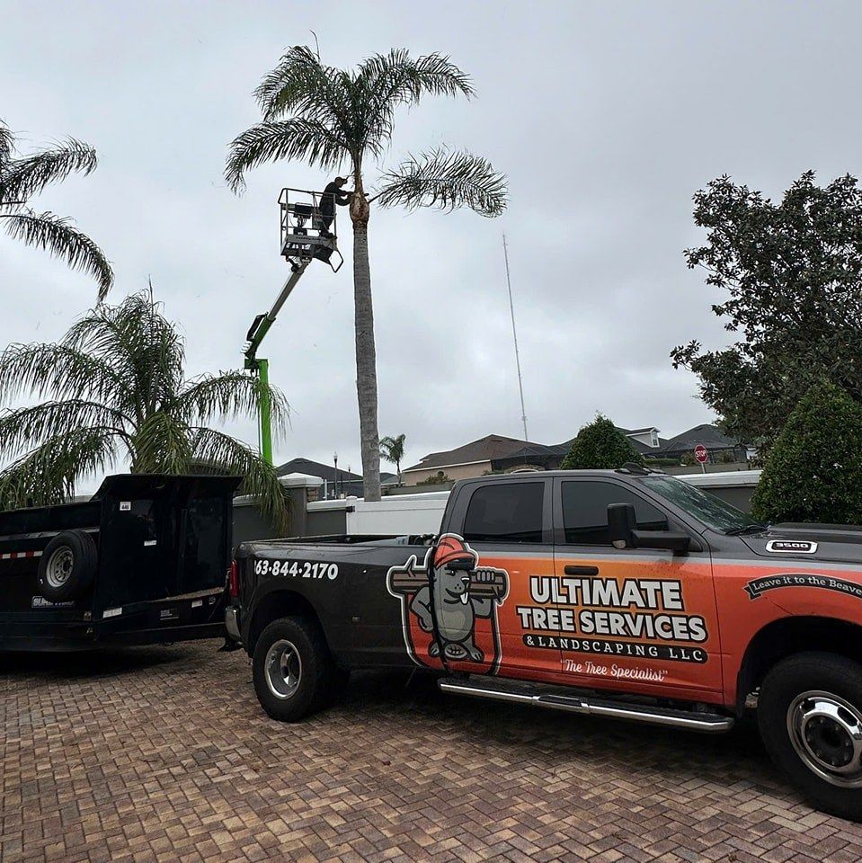 Our Tree Cutting service ensures safe and efficient removal, enhancing your landscape's beauty and health. Our experts provide precise cuts to prevent damage while maintaining the integrity of surrounding areas. for Ultimate Tree and Landscape Services LLC in Mulberry, FL