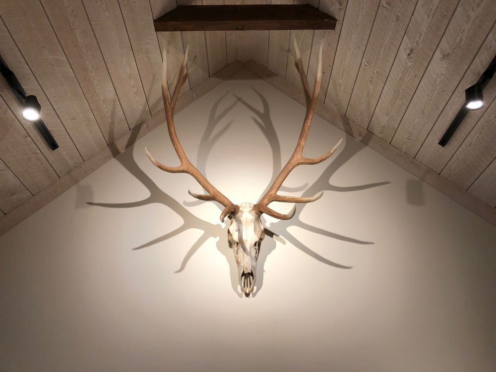 All Photos for R&H Homes in Bozeman, MT