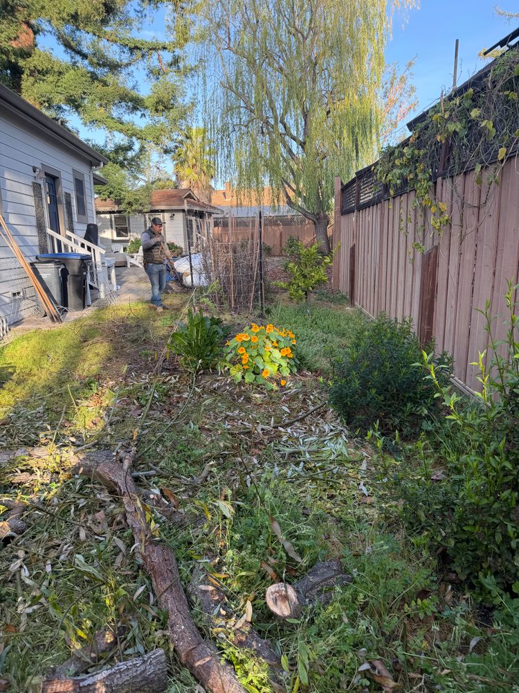 All Photos for CBA Landscaping in Hayward, CA