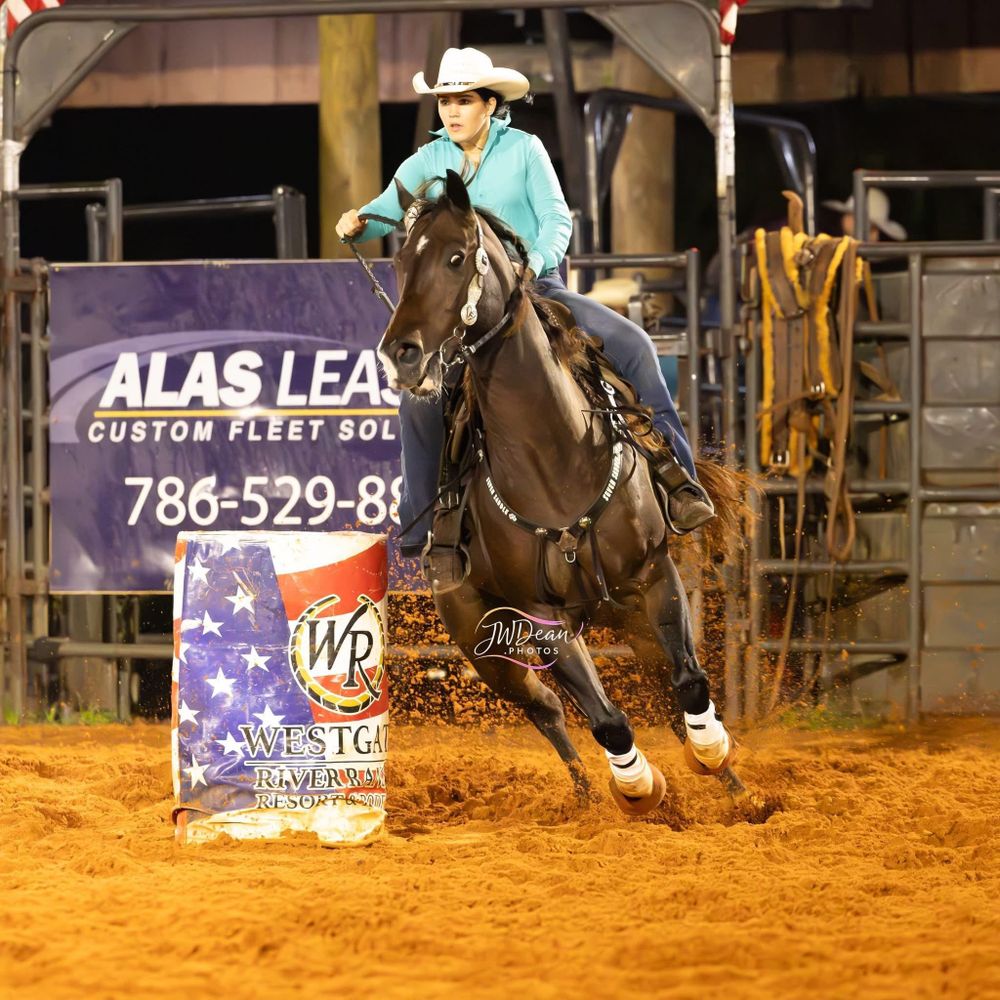 All Photos for Florida Native Equestrian Development in Central Florida, FL
