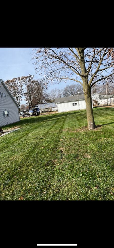 Lawn Care for Hatalla Lawn Maintenance  in Springfield, IL