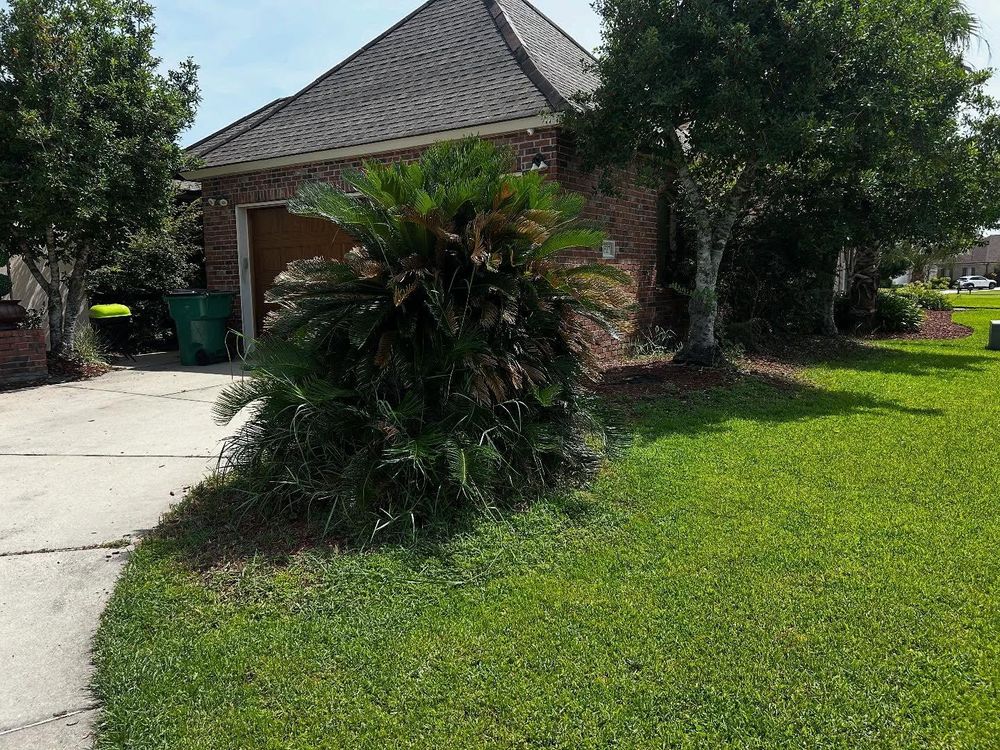 All Photos for Jay C’s Touch Landscaping & Pressure Washing Services LLC in Marrero, LA