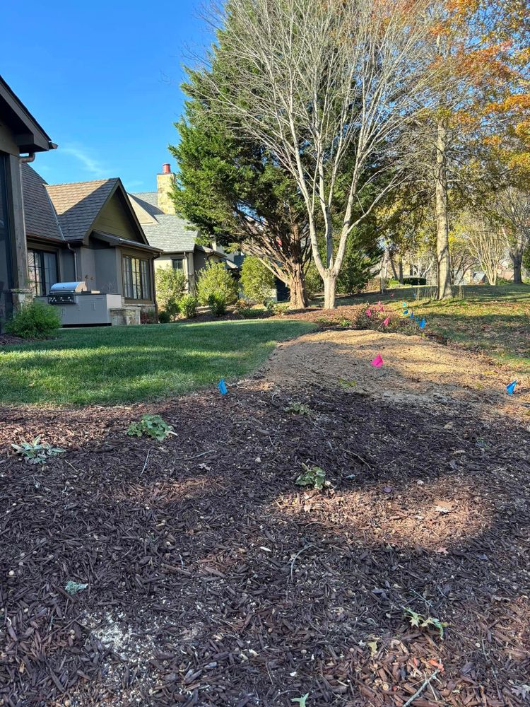 Our Fall Clean Up service ensures your property is pristine, removing leaves and debris to prepare your landscape for winter. Enjoy a tidy yard that enhances curb appeal through the colder months. for Andy's Tree Service in Zirconia, NC