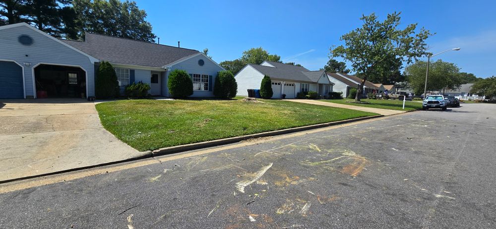 All Photos for Beach Tree Care in Virginia Beach, VA
