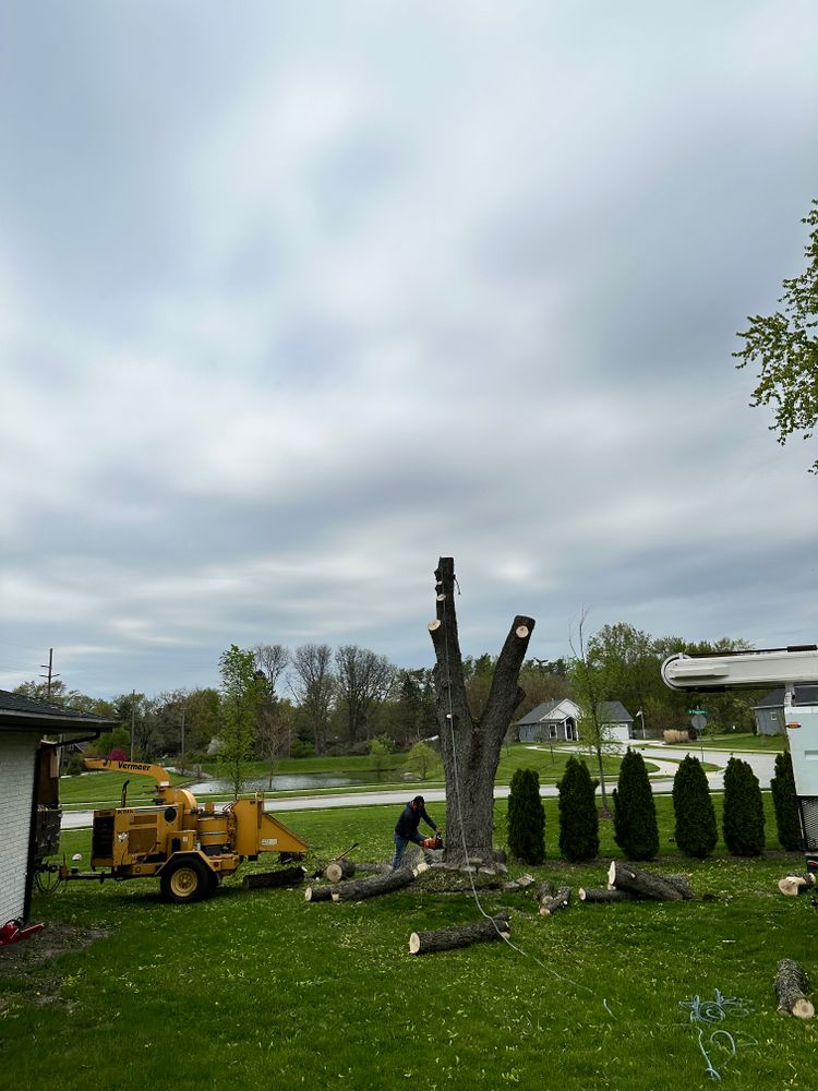 Tree & Stump Grinding Removal  for Torres Lawn & Landscaping in Valparaiso, IN