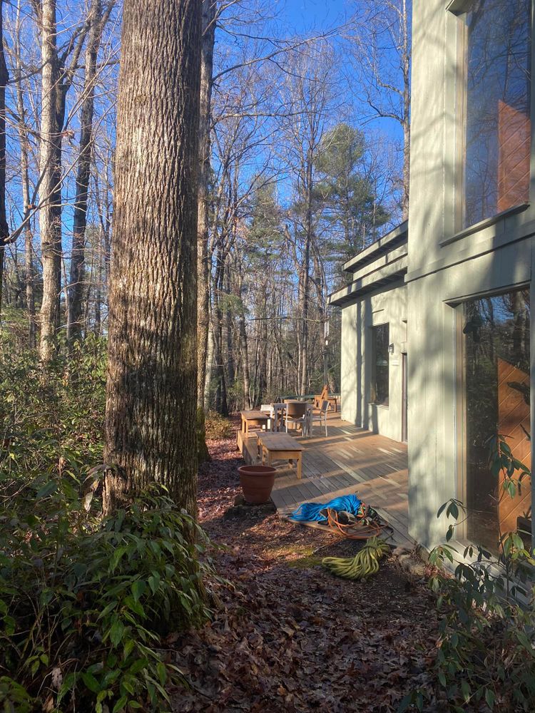 Tree Trimming for Andy's Tree Service in Zirconia, NC