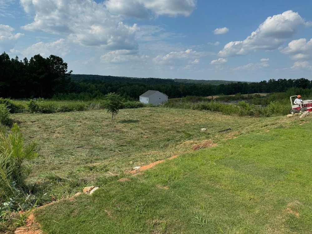 Brush Cutting and Removal for Fayette Property Solutions in Fayetteville, GA