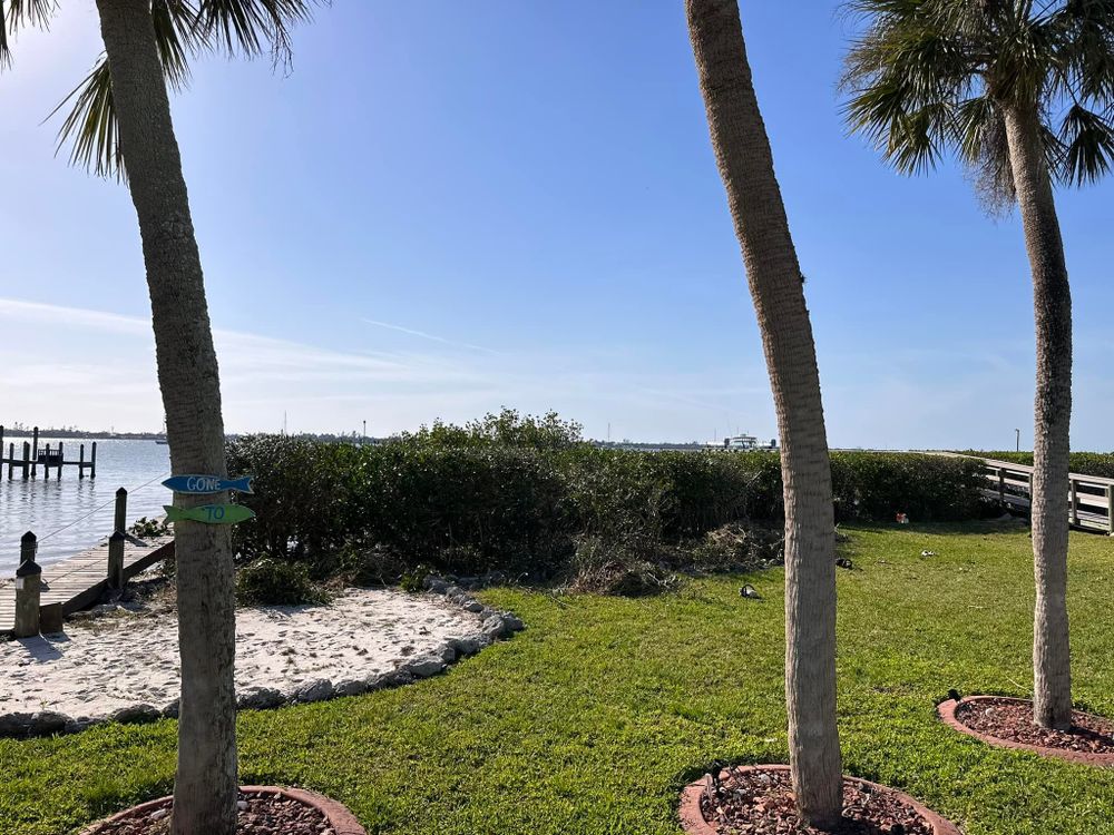 Tree Removal for MX Trees LLC in Englewood, FL