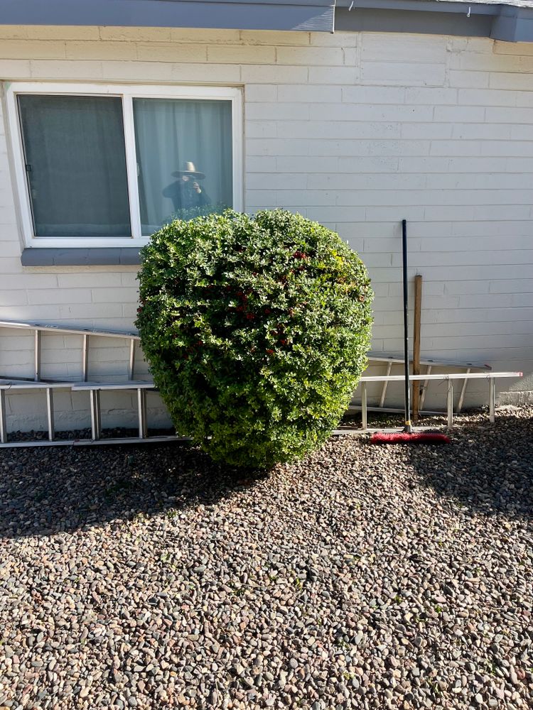 All Photos for Grand Canyon State Landscape Inc. in Surprise, AZ