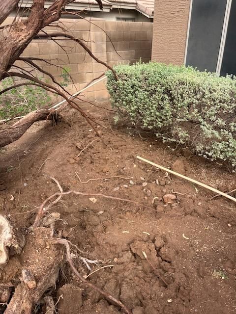 All Photos for T's Tree Service and Firewood in Apache Junction, AZ