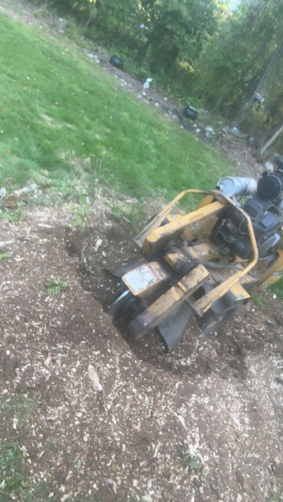 All Photos for Dwights Tree Service LLC in Middleborough, MA