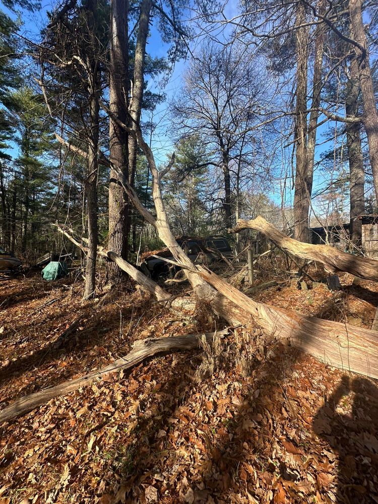 All Photos for Silver City Tree and Landscape in Taunton, MA