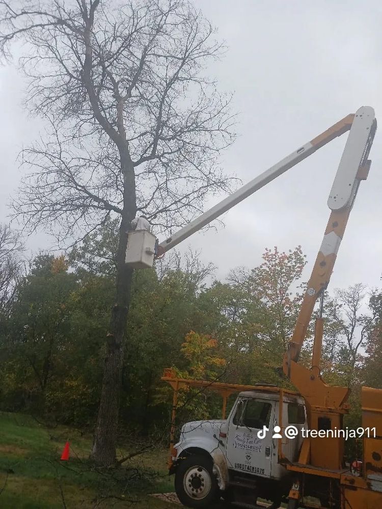 All Photos for Buffalo Family Tree Care in Buffalo, MN