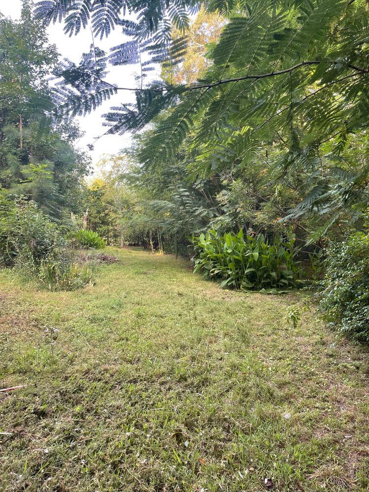 All Photos for Lewis Oaks Landscaping in King and Queen County, VA