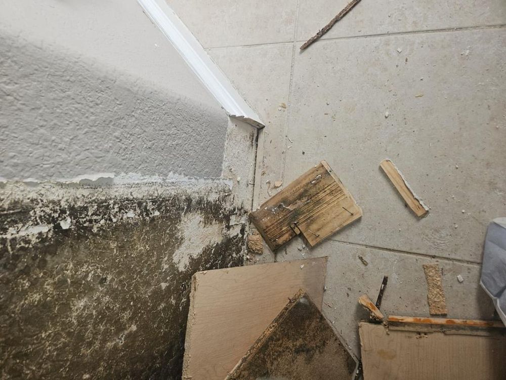 Mold Remediation for N&D Restoration Services When Disaster Attacks, We Come In in Cape Coral,  FL