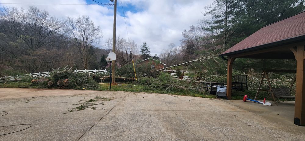 All Photos for Tree Fellers in Sumner County, TN