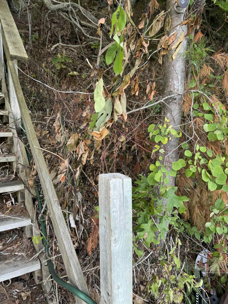 All Photos for Daugherty's Tough Lawn Care in Essexville, MI