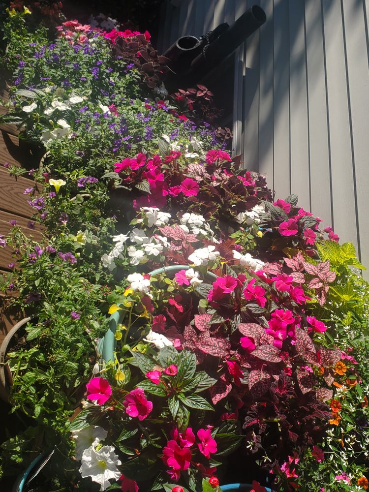 All Photos for Evolution Earthscapes, LLC in Ludlow, MA