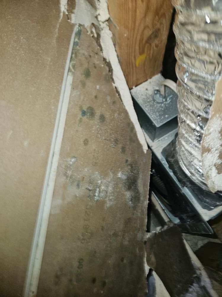 Mold Remediation for N&D Restoration Services When Disaster Attacks, We Come In in Cape Coral,  FL