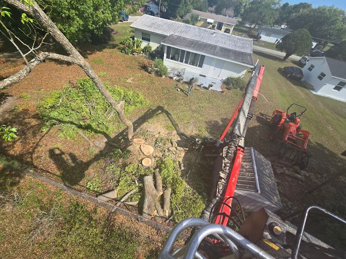 All Photos for Near Me Tree Service, Inc. in DeLand, FL