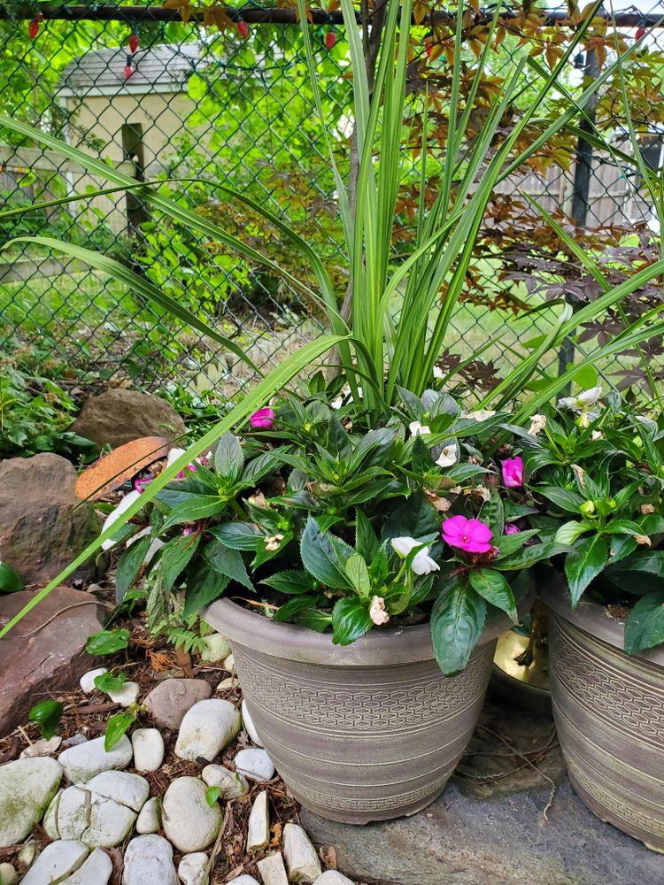 All Photos for Evolution Earthscapes, LLC in Ludlow, MA