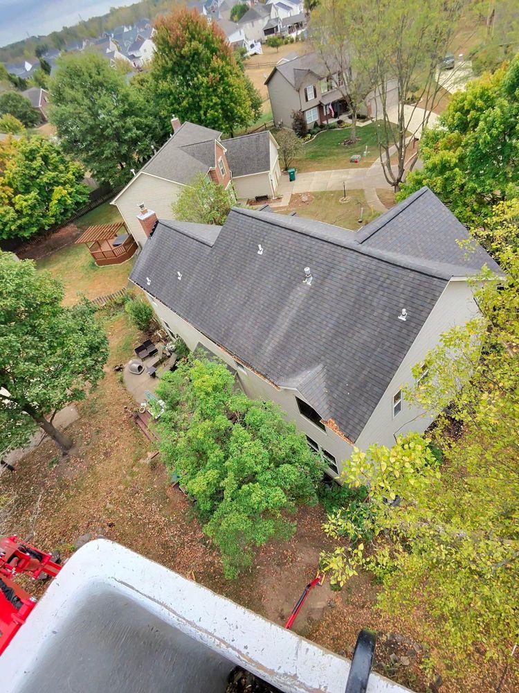 All Photos for F & F Tree Service in Beavercreek, OH