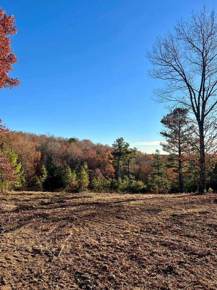 Land Clearing for Bass Land Management in Yellville, AR