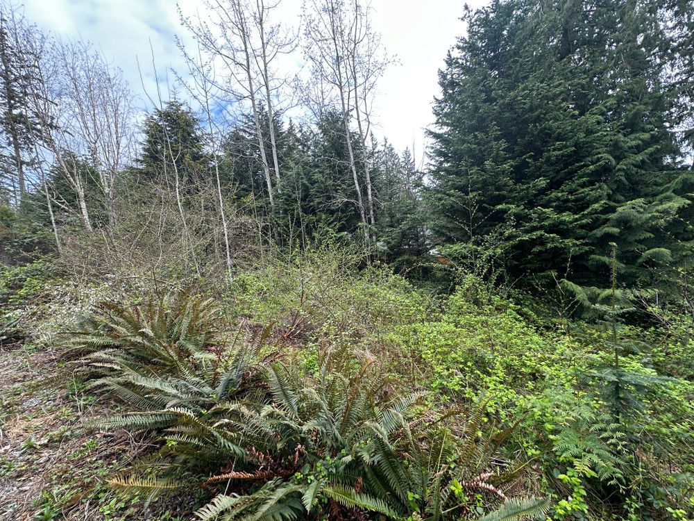 All Photos for AR Trucking & Excavation LLC in Stanwood, WA