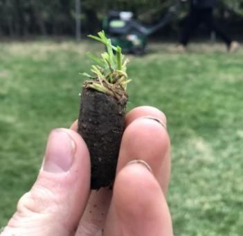 All Photos for Signature Property Care Inc. in Greater Sudbury, ON