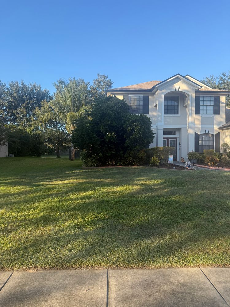 All Photos for Amerigrown Tree And Lawn in Apopka, FL