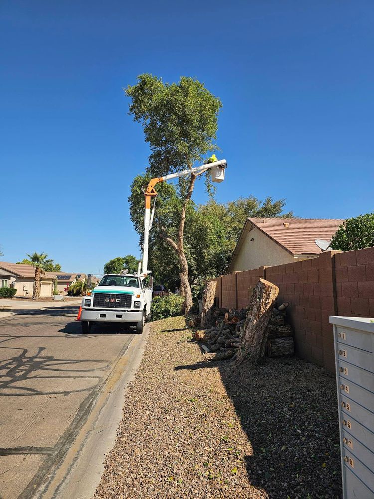 All Photos for T's Tree Service and Firewood in Apache Junction, AZ