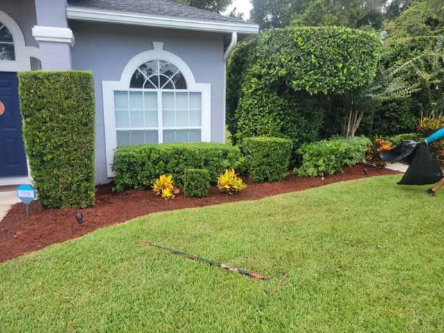 Maintenance for Lawns By St. John in North East, Florida