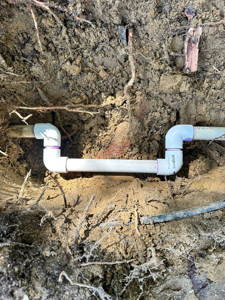 All Photos for The Golden Plumber in Pensacola, FL
