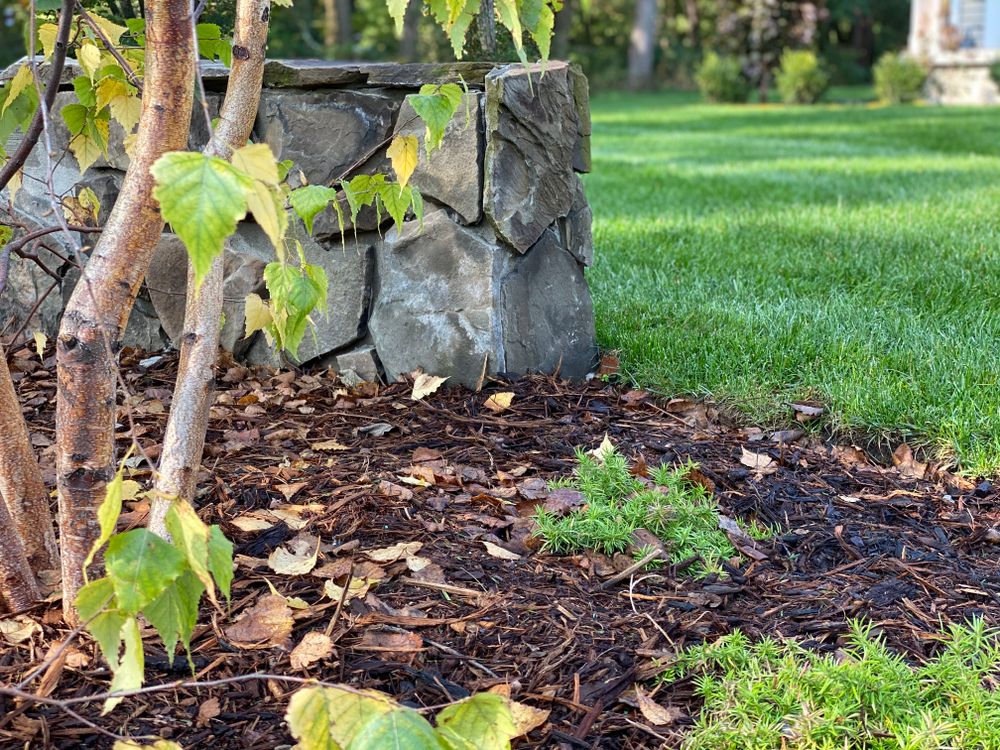 All Photos for Greenscape Lawns in Montague, MI