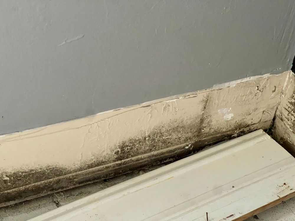 Mold Remediation for N&D Restoration Services When Disaster Attacks, We Come In in Cape Coral,  FL