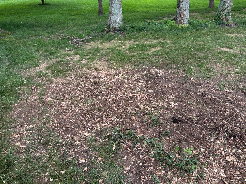 All Photos for Conrad's Stump Removal in Columbus, IN