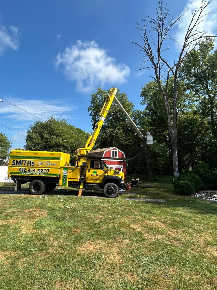 All Photos for SMITHs Tree Service in Columbus, IN