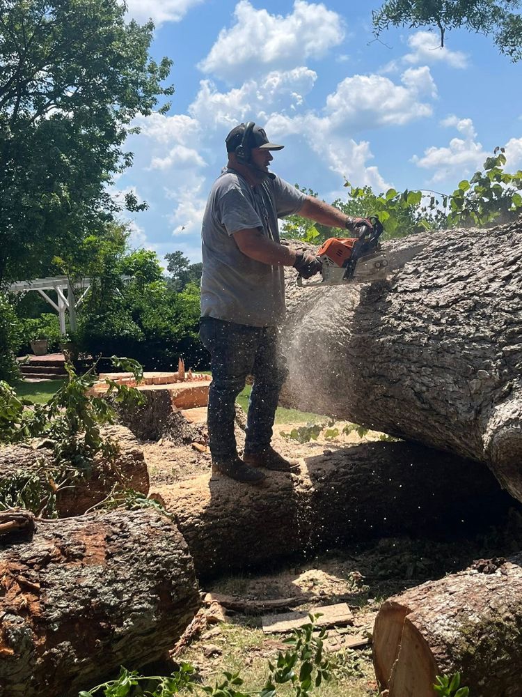 Our Tree Removal service ensures safe and efficient removal of unwanted or hazardous trees, protecting your property while enhancing its beauty. experienced professionals handle every detail, providing peace of mind and excellence. for T N L - Tree and Land Service in Reynolds, GA