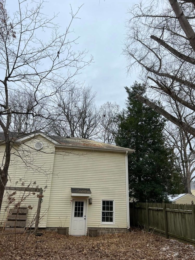 Tree Removal for La Fountain Tree Service in Louisville, KY