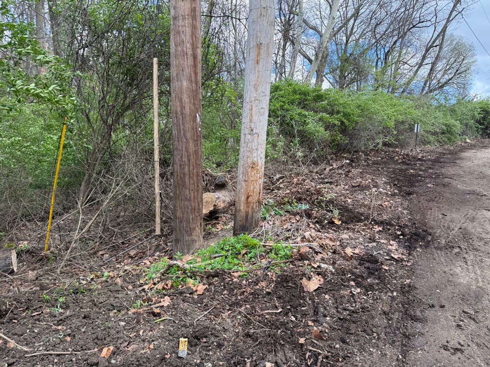 All Photos for A1 Bush Hogging & Lawn Service in London, OH