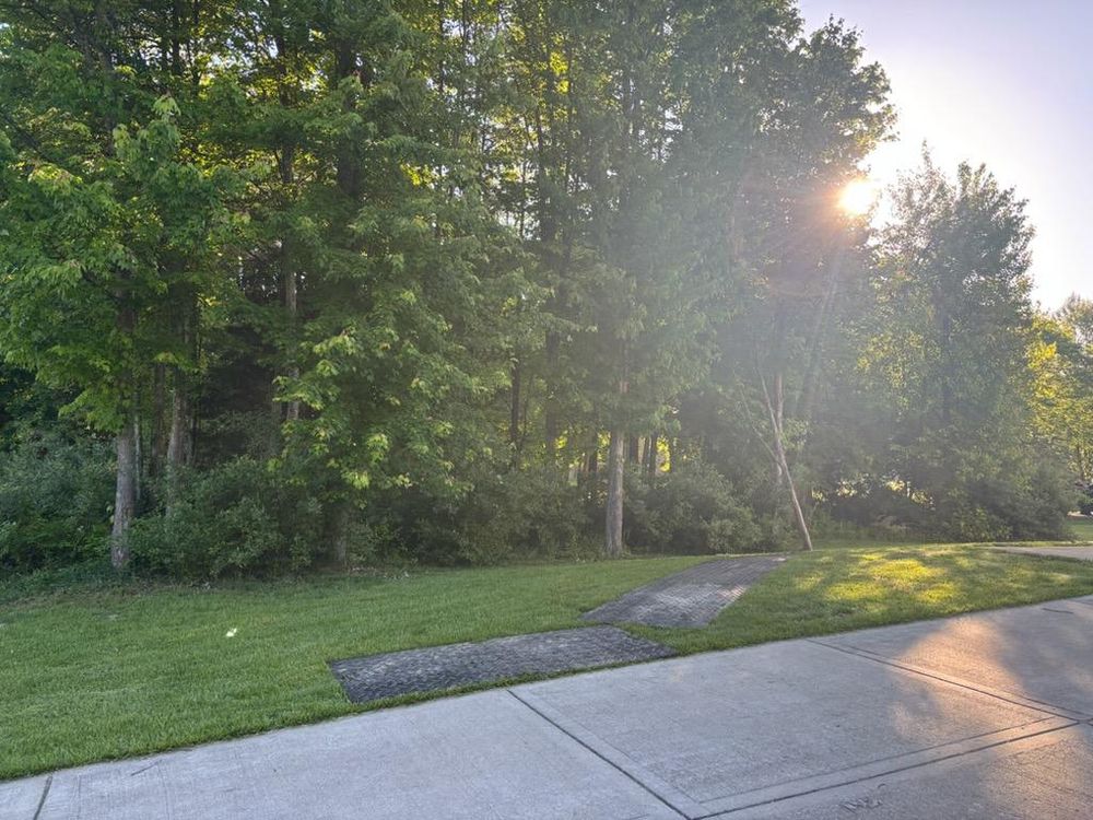 All Photos for Anstaetts Tree Service in Batavia, OH