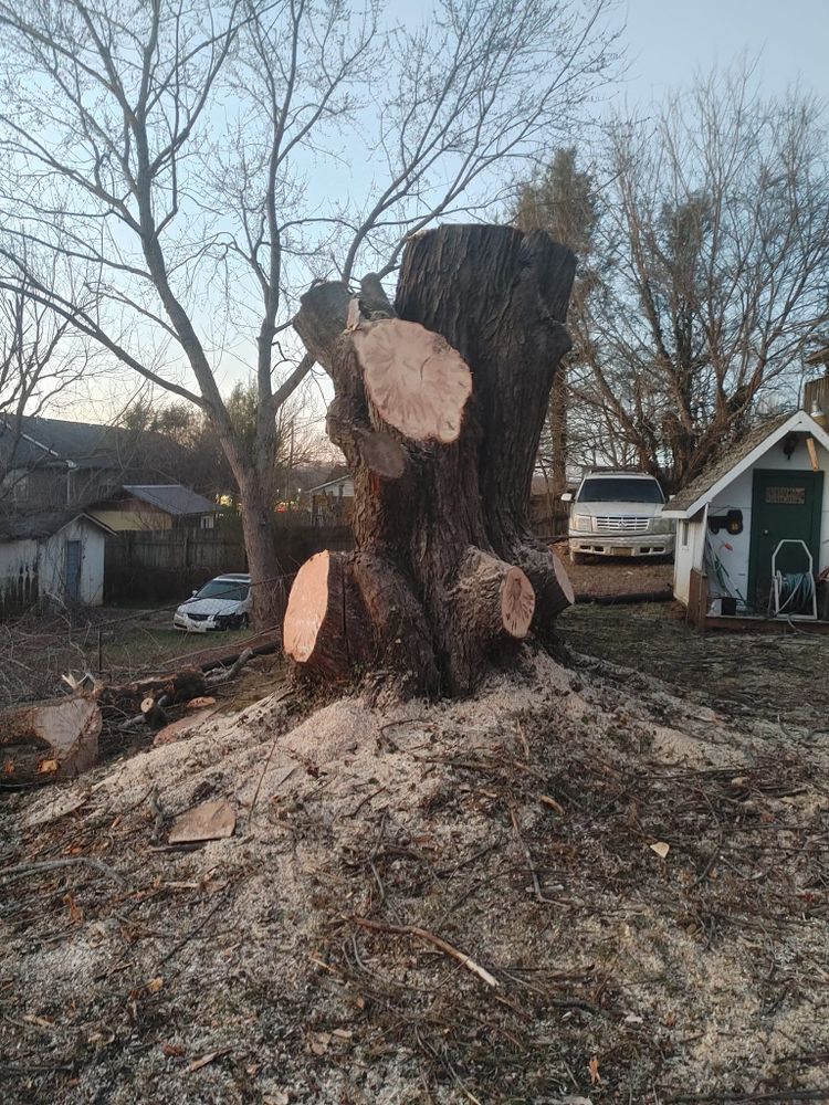 Our professional Tree Removal service safely and efficiently eliminates unwanted trees from your property, enhancing safety, aesthetics, and overall landscape health. Contact us today for a free consultation. for M&L Lumber and Excavating in Jonesborough, TN