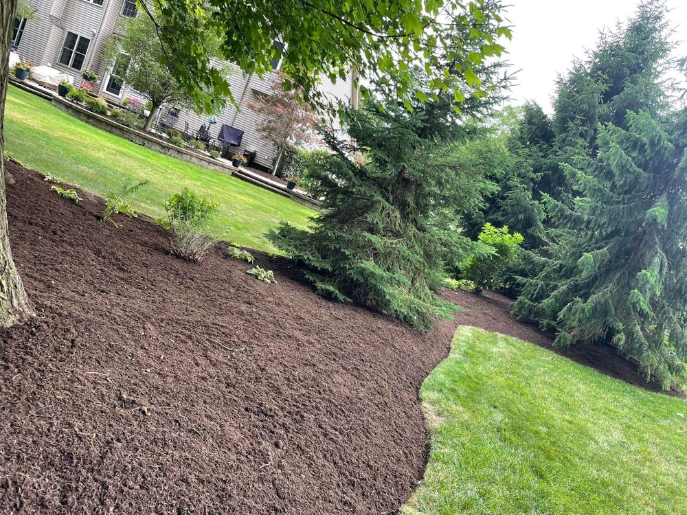 All Photos for Reynoso’s Fencing & Lawn Care in Painesville, OH