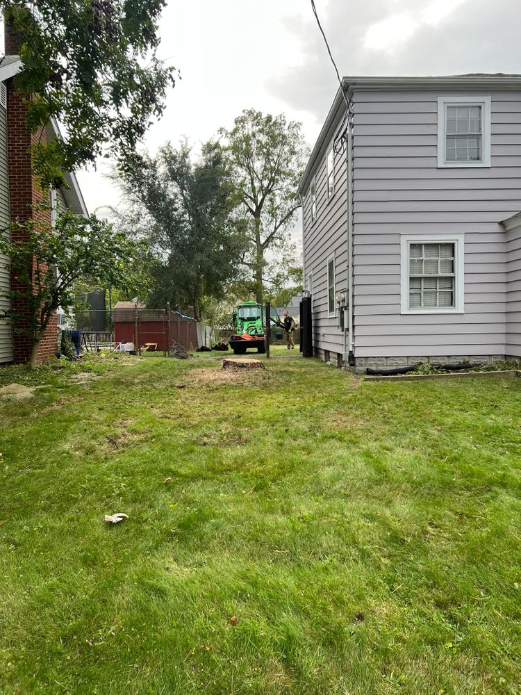 Tree Removal for Down To Earth Tree Service, LLC in Olmsted Falls, OH